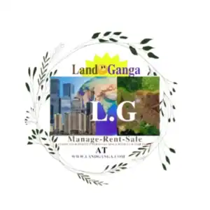 LG NEWS 1000*1000